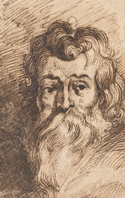 Kopf eines bärtigen Mannes von Peter Paul Rubens